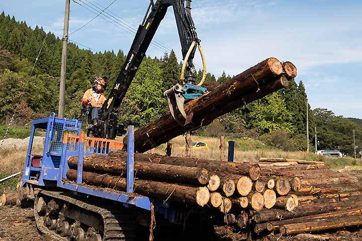 森林・木材産業活性化事業の様子
